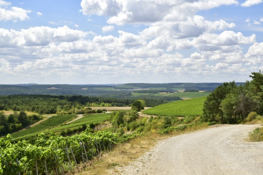 Camino z Trewiru do Vézelay